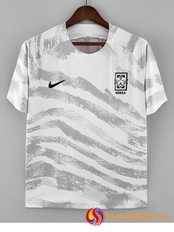 Korea 2022/23 Grey Training Shirt