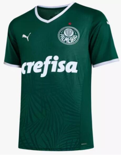 Camisa Palmeiras 2022/223 Home Shirt Soccer Jersey