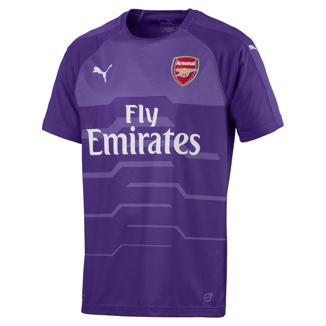 arsenal goalkeeper kit purple