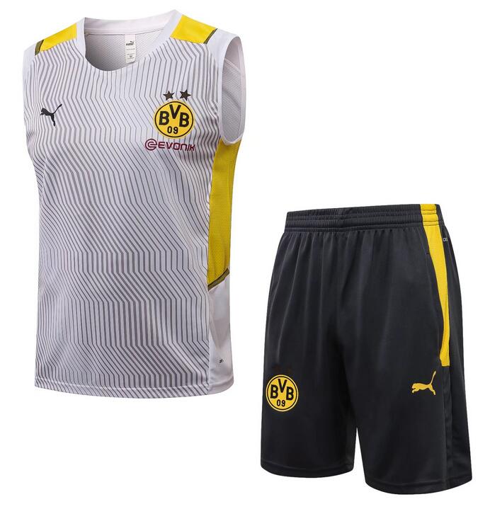 Dortmund 2021/22 Grey Training Vest Suit (Shirt+Shorts)